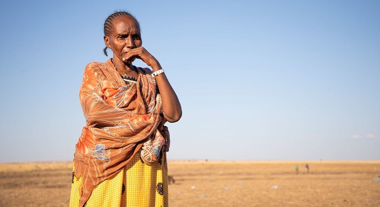 Tigray: Hundreds of civilians reported killed in artillery strikes, warns UN rights chief